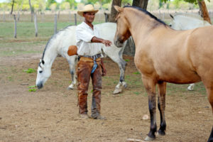 Auf einer Pferderanch im Süden Brasiliens