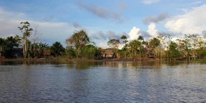 Amazonas Rio Negro