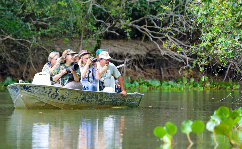 Tierbeobachtung per Boot im Pantanal